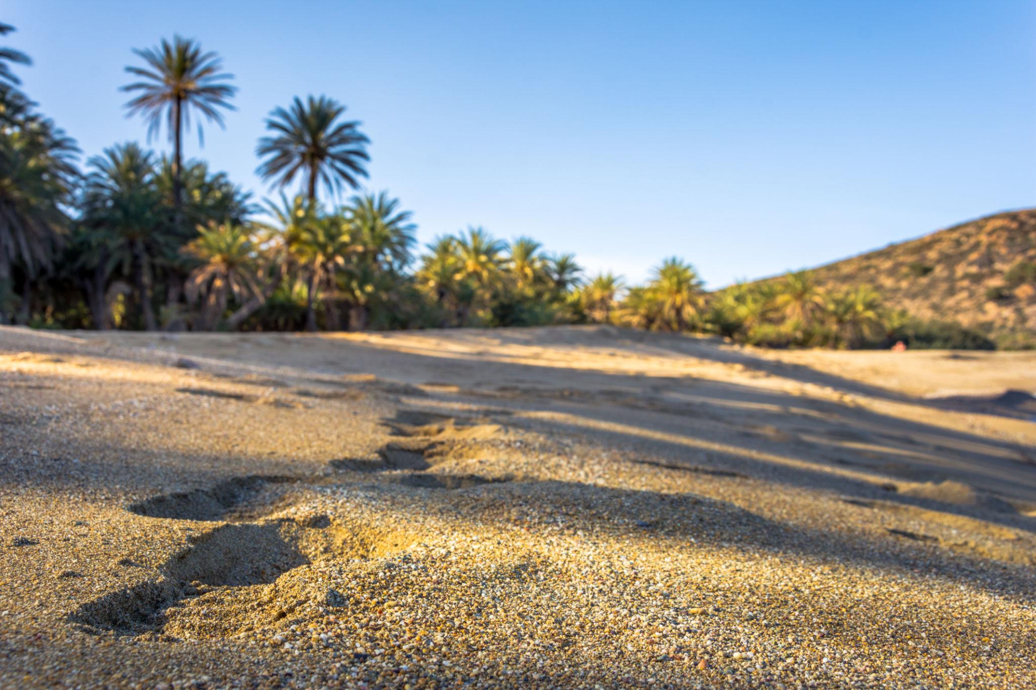 Vai Beach – Easy Access and Beauty Combined